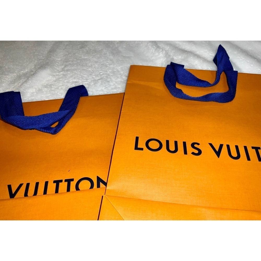 Louis Vuitton Shopping Gift Bags - Picture 7 of 8